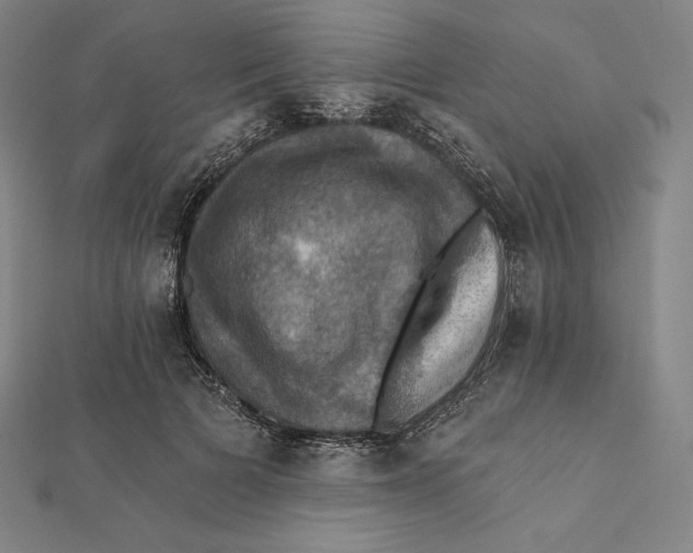 X0000112030697200908311216