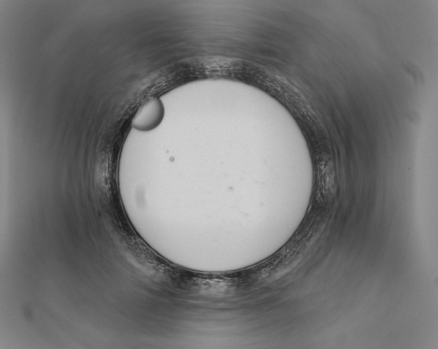 X0000112030698200908311216