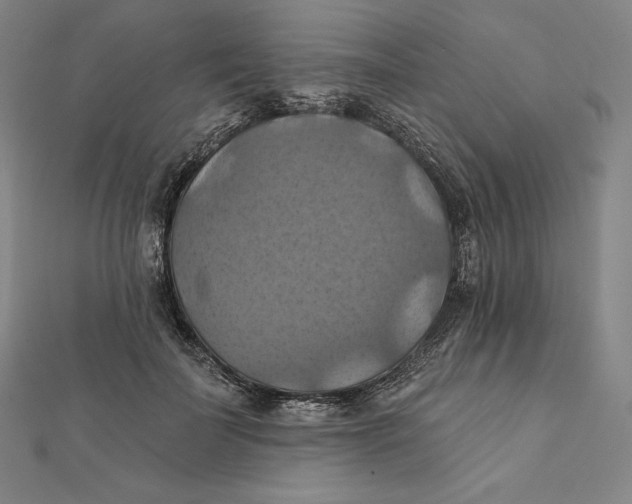 X0000112030699200908311216