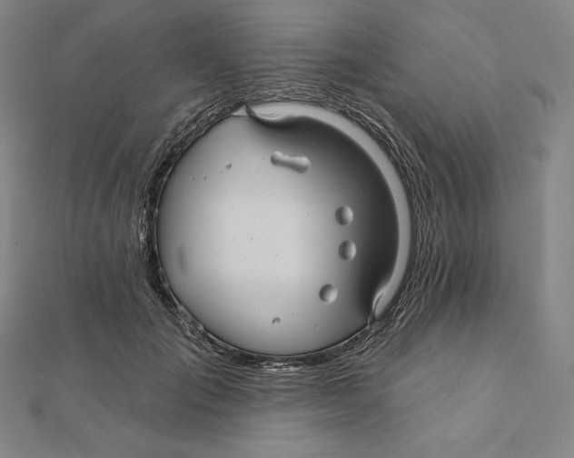 X0000112030701200908311216