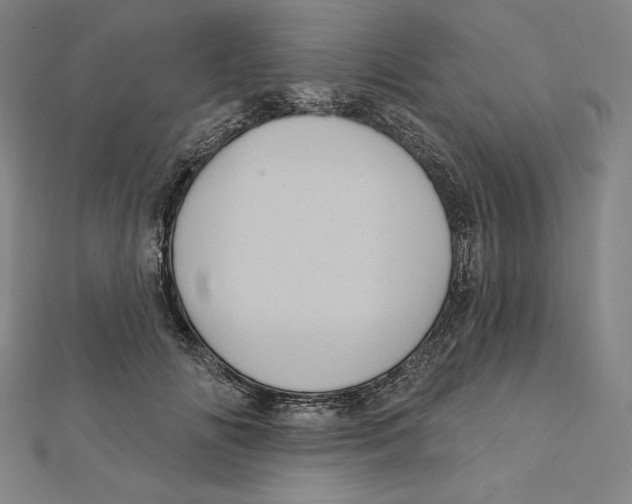 X0000112030702200908311216
