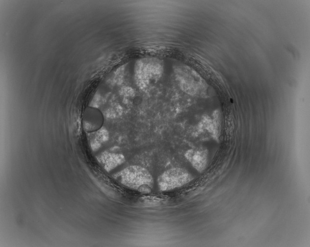X0000112030703200908311216