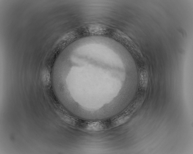 X0000112030705200908311216