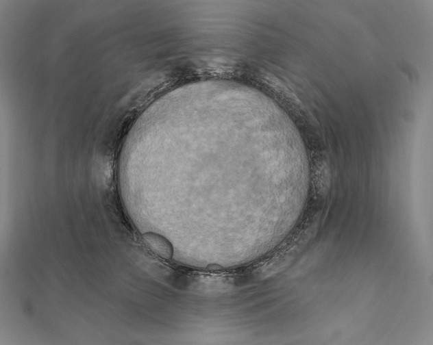 X0000112030709200908311216