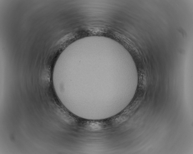 X0000112030710200908311215