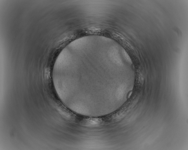 X0000112030711200908311215