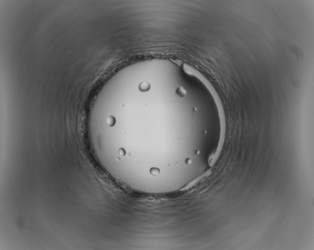 X0000112030712200908311215