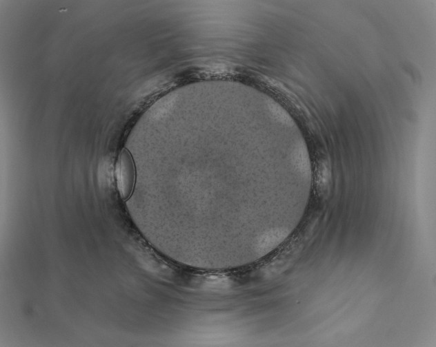 X0000112030715200908311215