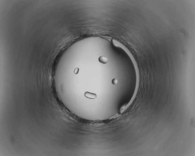 X0000112030716200908311215