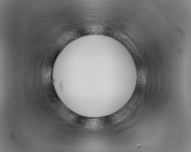 X0000112030717200908311215