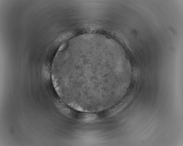 X0000112030719200908311215
