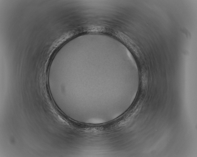 X0000112030721200908311215