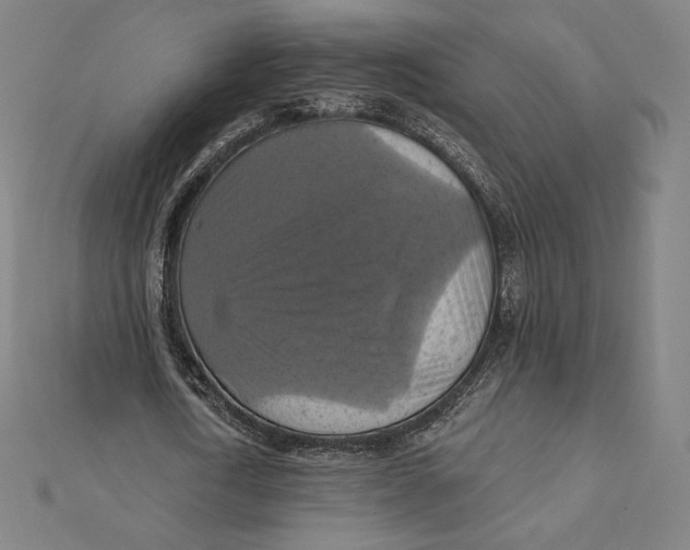 X0000112030722200908311215