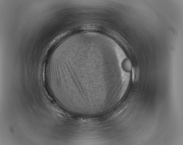 X0000112030723200908311215
