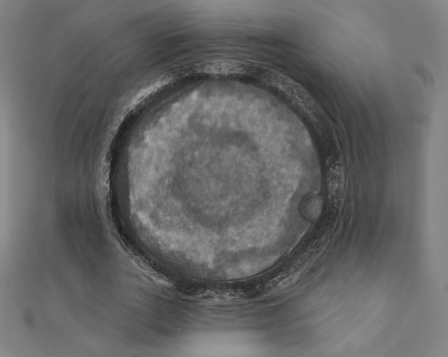 X0000112030727200908311215