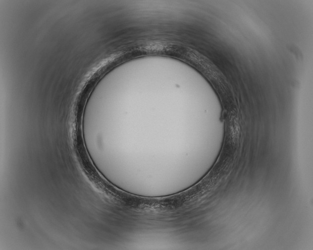 X0000112030728200908311215