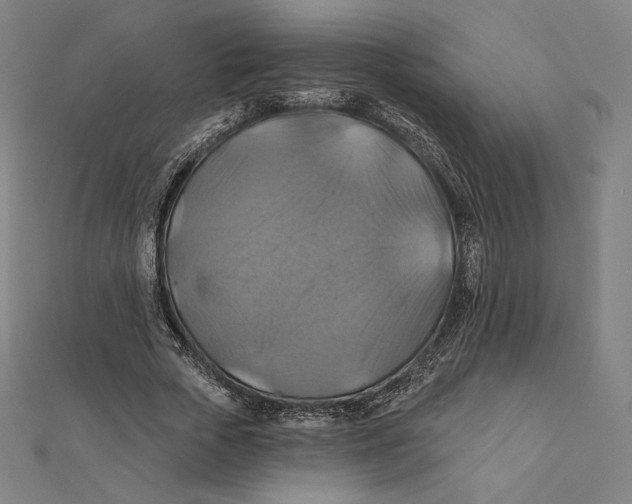 X0000112030729200908311215