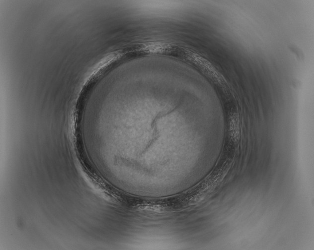 X0000112030730200908311215