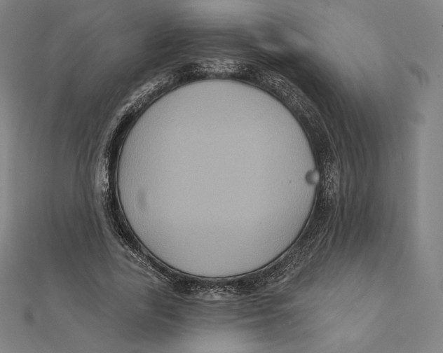 X0000112030731200908311215