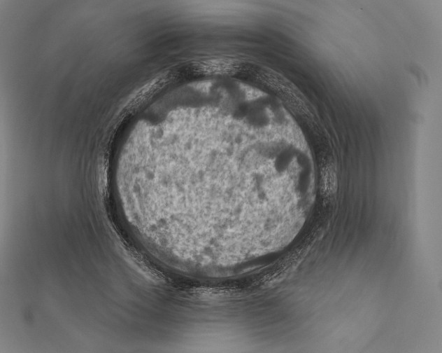 X0000112030733200908311215