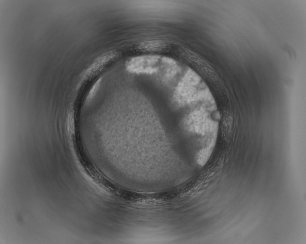 X0000112030734200908311215