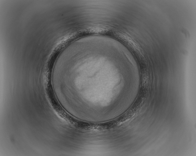 X0000112030736200908311215
