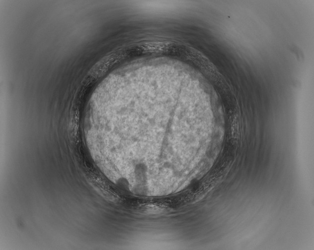 X0000112030737200908311215