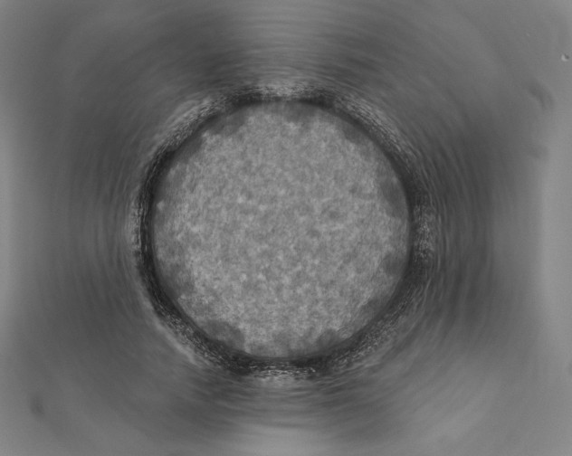 X0000112030738200908311215