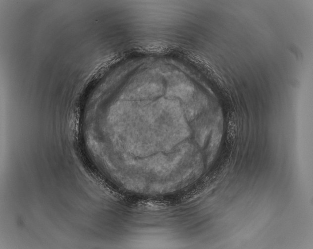 X0000112030739200908311215