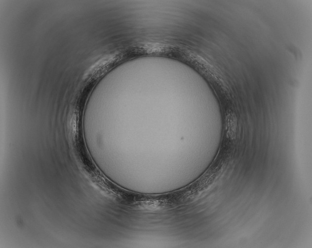 X0000112030740200908311215