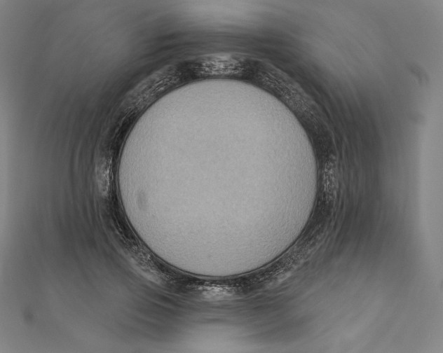X0000112030741200908311215