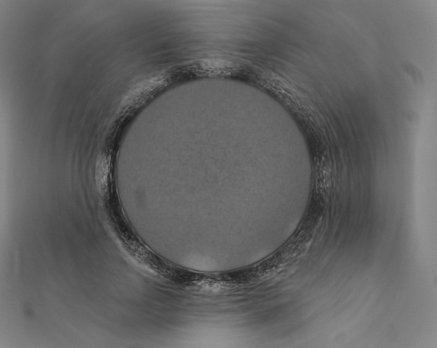 X0000112030742200908311215