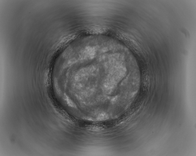 X0000112030743200908311215