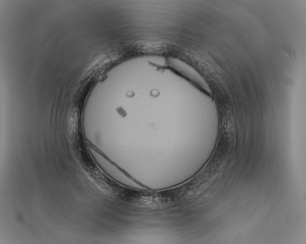 X0000112030744200908311215