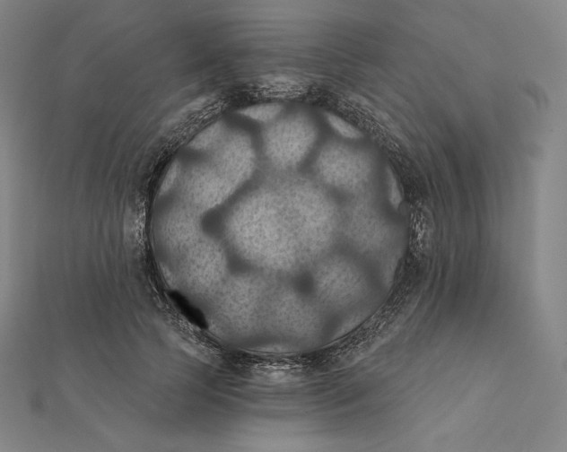 X0000112030745200908311215