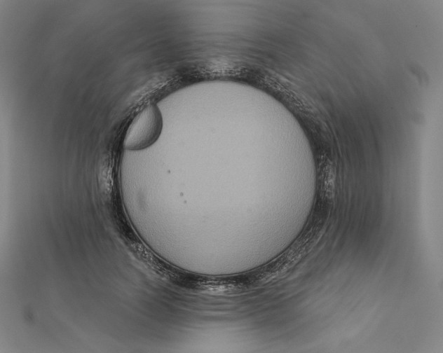 X0000112030746200908311215