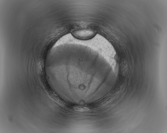 X0000112030747200908311215