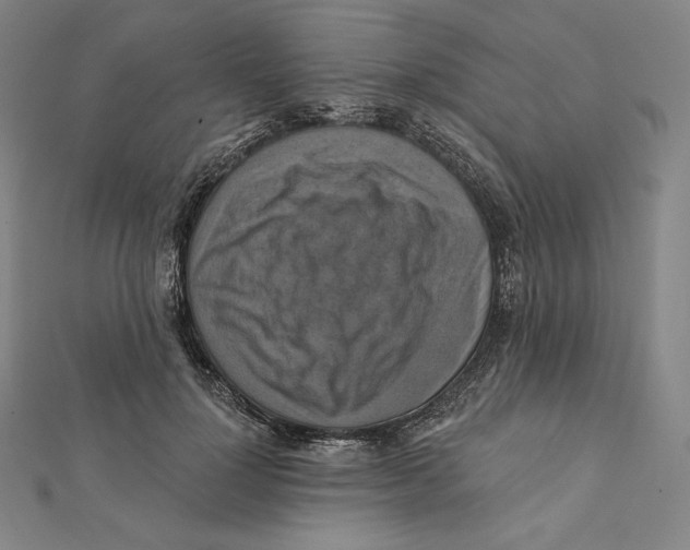 X0000112030748200908311215