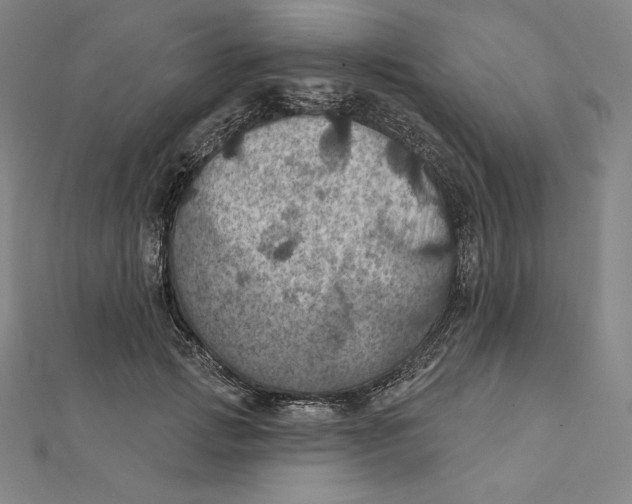 X0000112030749200908311215