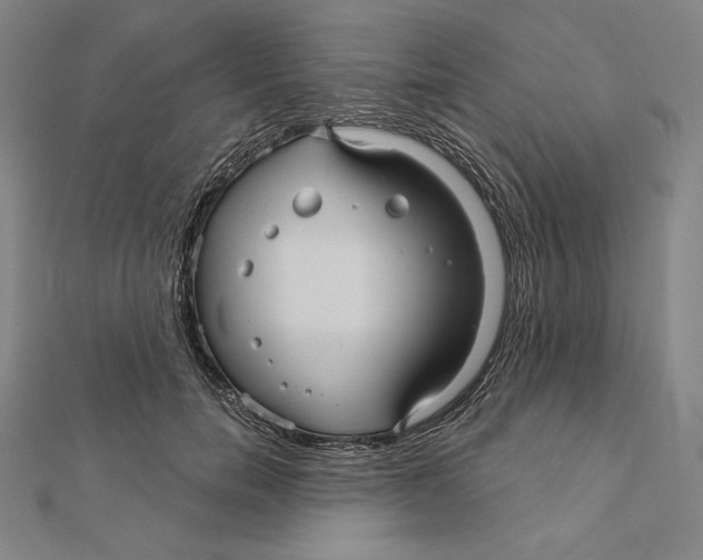 X0000112030750200908311215