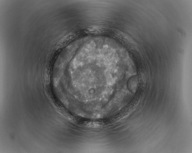 X0000112030751200908311215