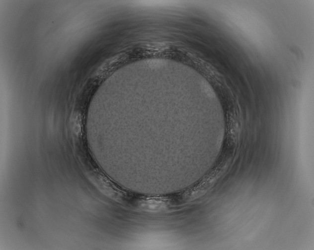 X0000112030758200908311215