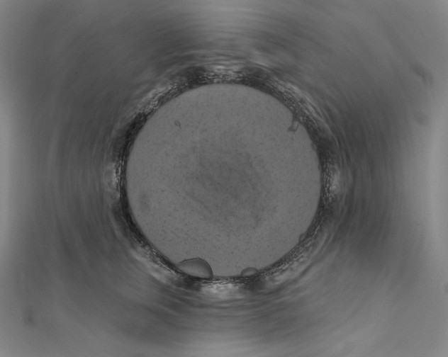 X0000112030759200908311215