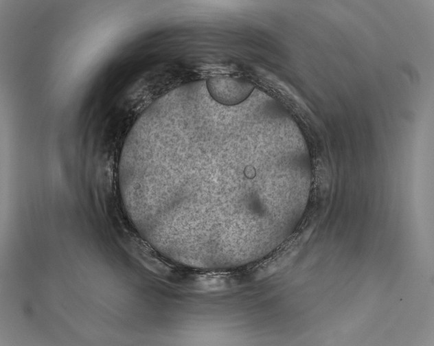 X0000112030761200908311215
