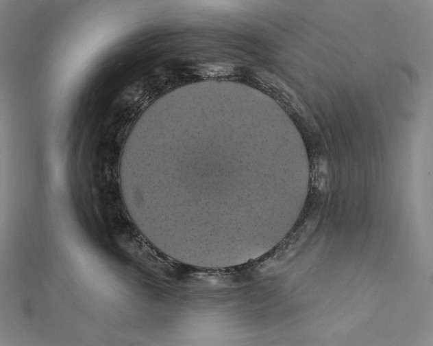 X0000112030763200908311215
