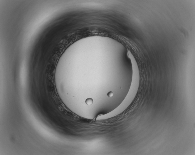 X0000112030764200908311215