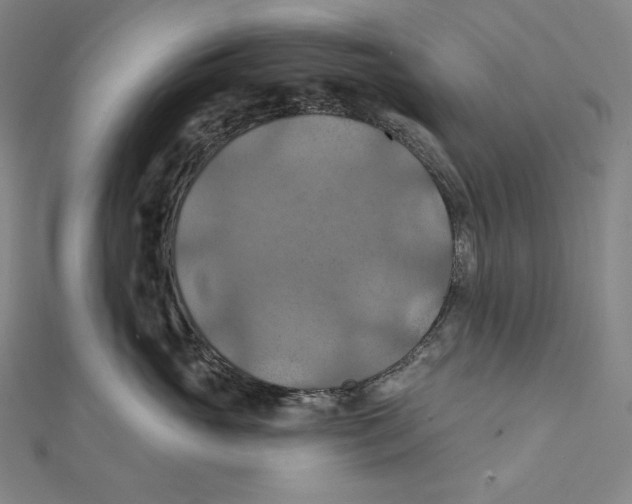 X0000112030765200908311215