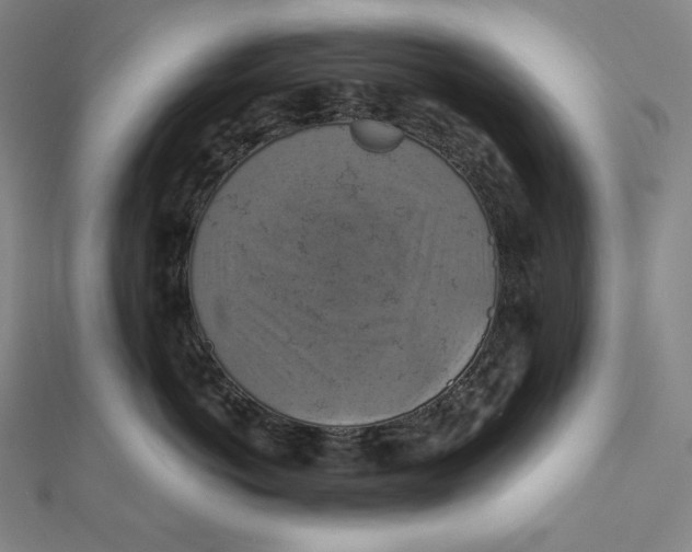 X0000112030766200908311215