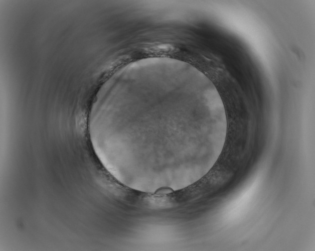 X0000112030767200908311215