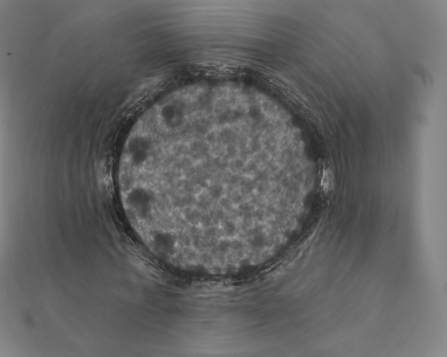 X0000112030771200908311215